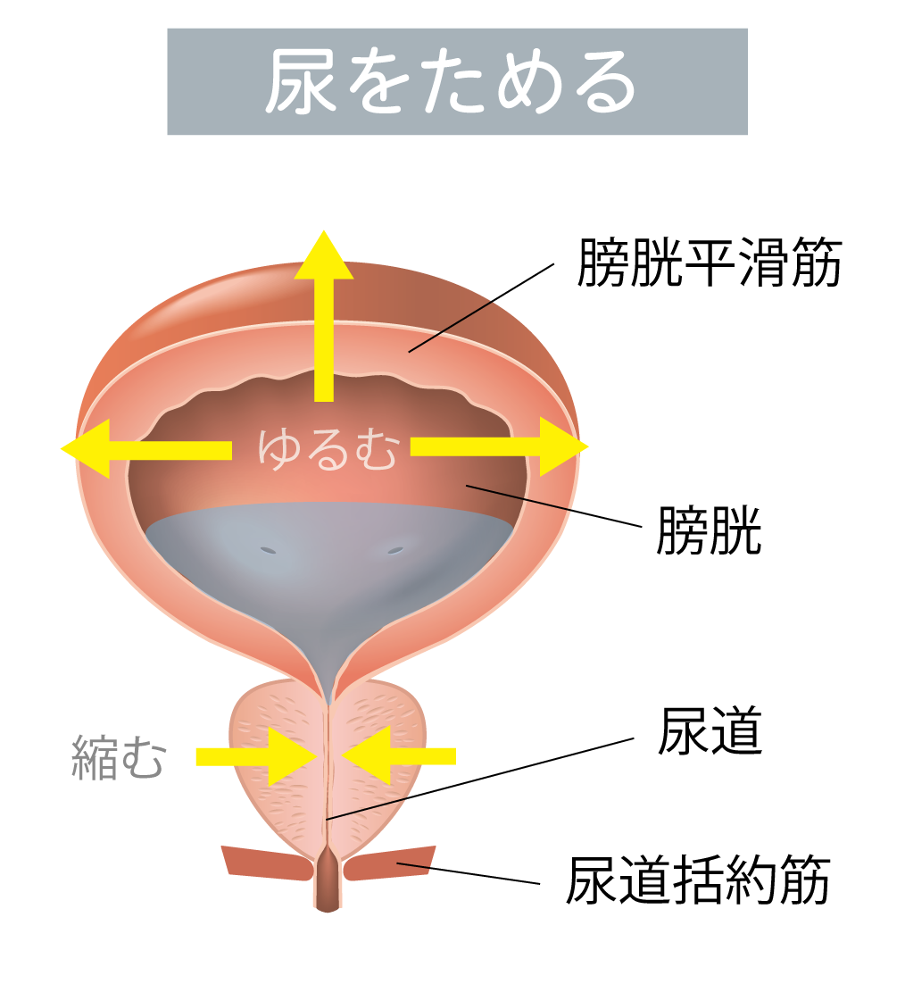 図2