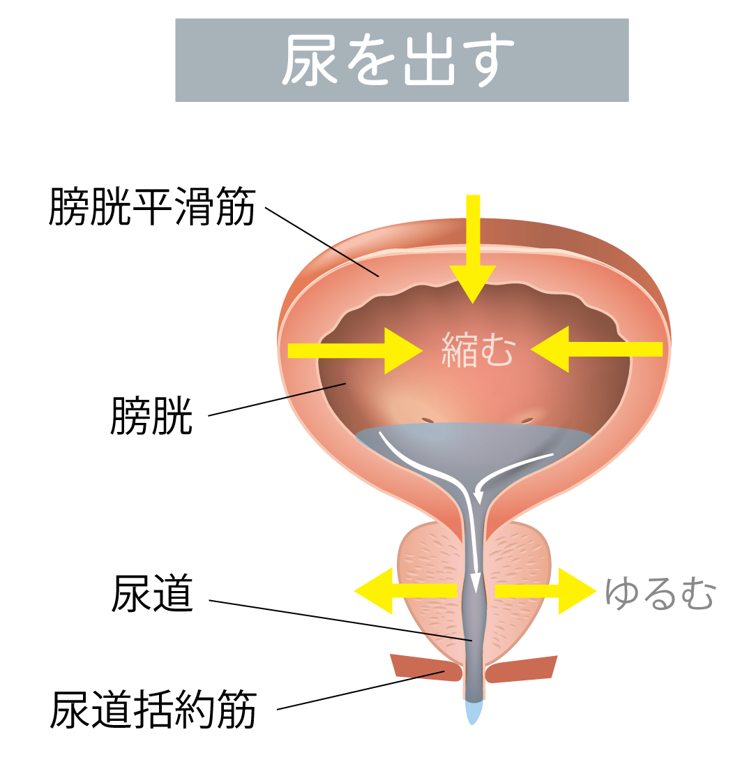 図2