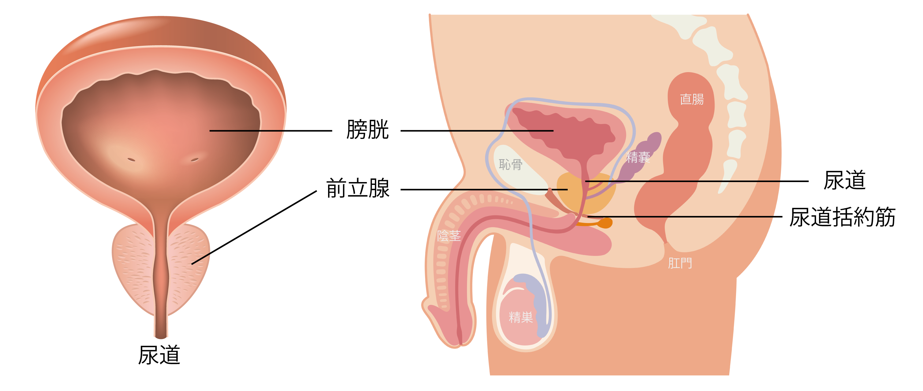 図3