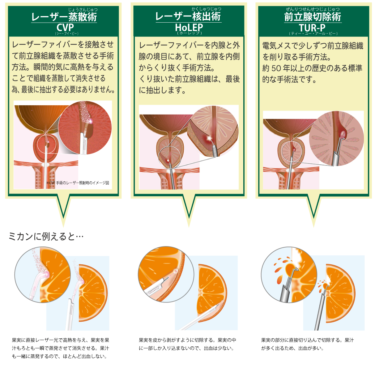 図5
